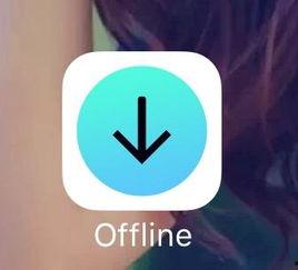 苹果能看的成人软件视频,精选视频推荐与观看指南